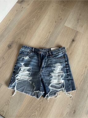 American Eagle Outfitters Distressed Denim Cutoff Shorts Highest Rise Baggy